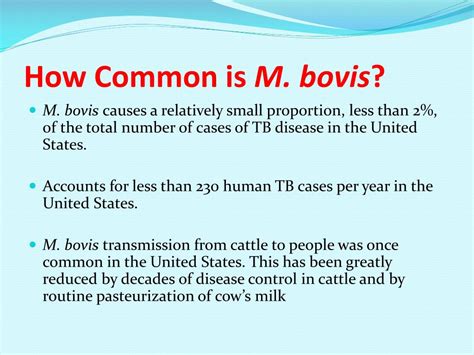 PPT - Mycobacterium bovis PowerPoint Presentation, free download - ID:6536340