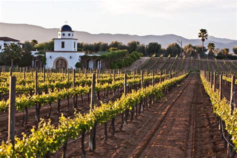 Valle de Guadalupe: How Mexican wine country is giving California a run for its money | The ...