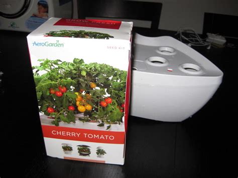 Aerogarden: Cherry Tomatoes