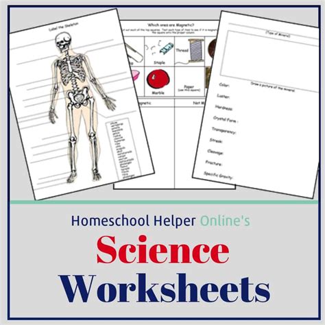 Science Worksheets Free Printable Science Worksheets For All Students: - Printable Templates Free