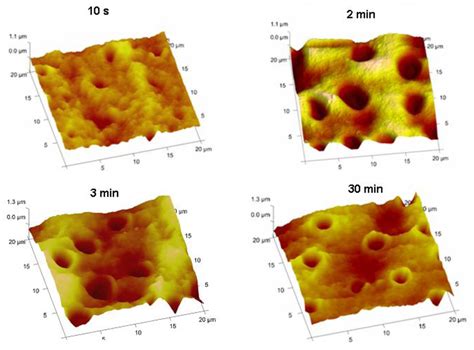 Polymers | Special Issue : Biofunctional Polymers for Medical Applications