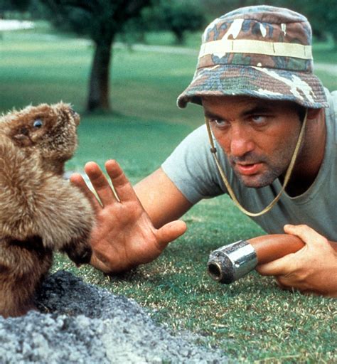 The 15 Best Bill Murray Movies to Watch Right Now