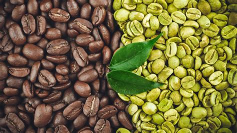 Choosing the Best Green Coffee Beans Wholesale for Your Cafe