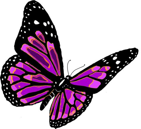 Butterfly Clip art - flying butterfly PNG image png download - 1053*967 - Free Transparent ...