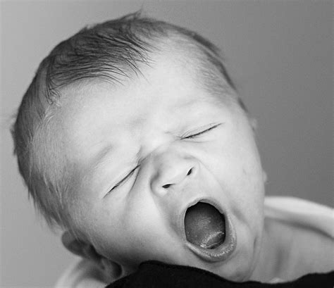 PopSugar: All That Yawning Could Help You Keep a Cool Head | SUNY Polytechnic Institute