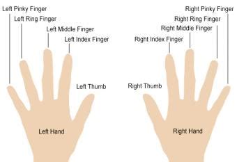 What Is the Meaning of Each Finger for Rings? | LoveToKnow