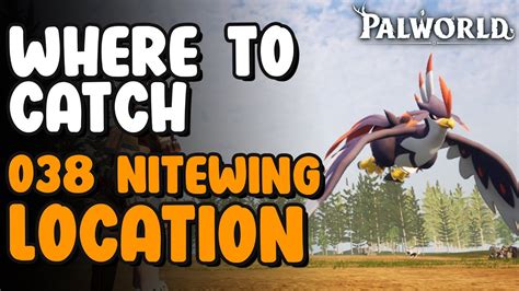 Nitewing Location - Paldeck 038 | Palworld - YouTube