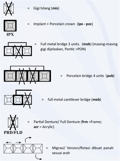 Panduan Lengkap Pengisian Odontogram: Langkah Demi Langkah - Info DRG