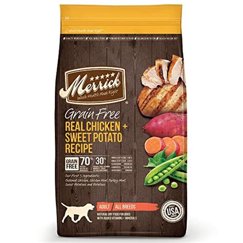 10 Best Cruelty Free Dog Food Brands Rated & Reviewed