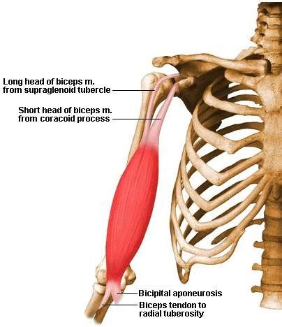 Injury Struck. Bummer!! Now What? » Diabetes Outside's Blog