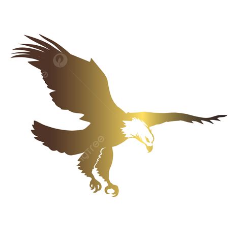 Bald Eagle Flying Silhouette PNG Transparent, Flying Golden Eagle ...