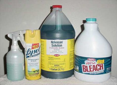 Facts About Disinfectants that You Should Know - Aftercare