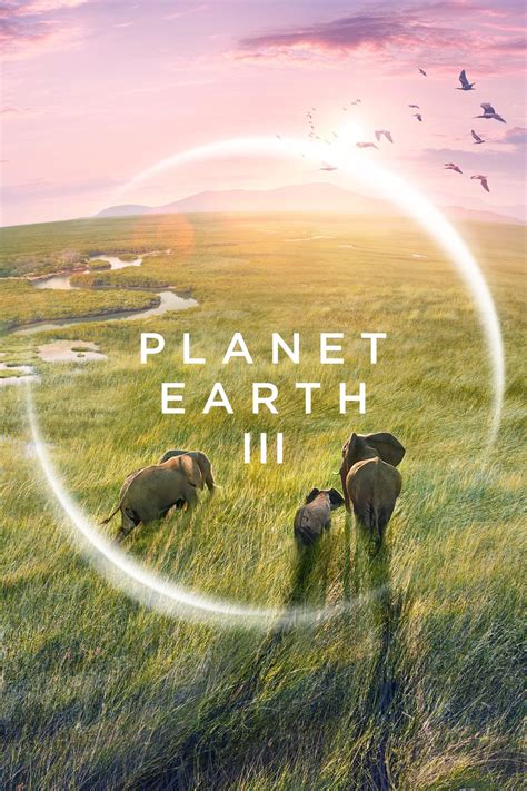 Planet Earth III subtitles | 36 Available subtitles | opensubtitles.co