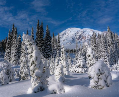 Exploring Mount Rainier in the Winter - Travel and Photography Guide