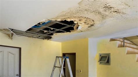 Beginner's Guide to Basement Repair - KateBeckin Sale Gallery