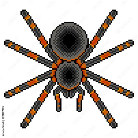 Pixel art tarantula spider detailed isolated vector Stock Vector ...