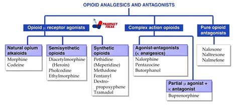 Classification of Opioid Analgesics and Antagonists - Pharmacy Freak