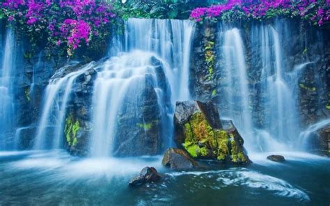 Free Animated Waterfall Desktop Wallpaper - Water Fall Wallpaper Hd ...