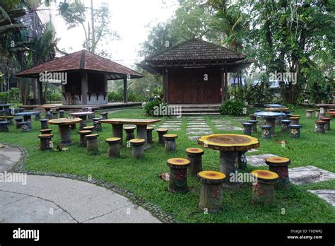 Log seats and tables for outdoor garden Stock Photo - Alamy