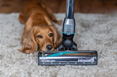 BISSELL ICON 25V 3-in-1 Vacuum Review – The Ultimate Cordless Pet Vacuum – woofwagwalk.co.uk