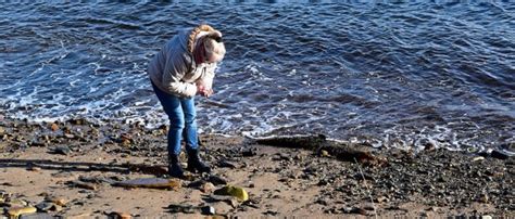 Beach combing tips | Beach activities from Visit Whitby