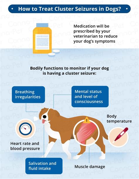 Cluster Seizures in Dogs | Canna-Pet® | Seizures in dogs, Medication ...