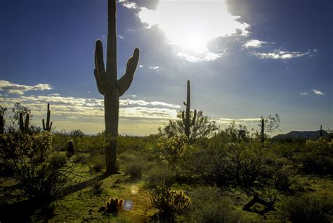 Arizona Desert Landscape Free Stock Photo - Public Domain Pictures