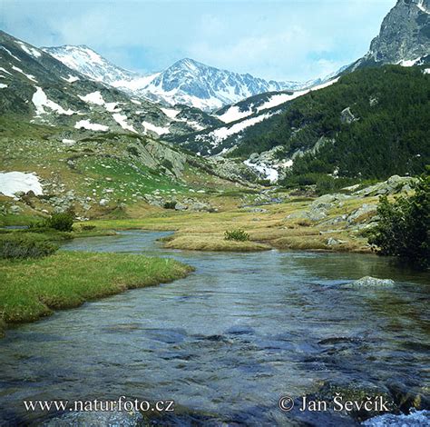 National Park Pirin Photos, National Park Pirin Images, Nature Wildlife ...