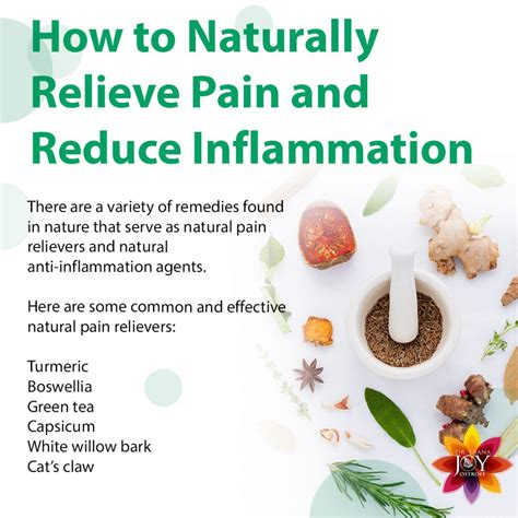 Relieve Pain and Reduce Inflammation Naturally - Dr. Diana Joy Ostroff