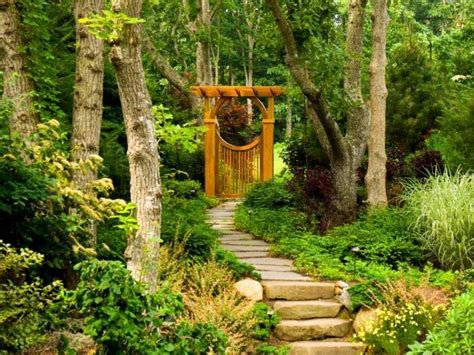 jardin japonais, marches en pierre naturelle, tori en bois massif et végétation copieuse ...