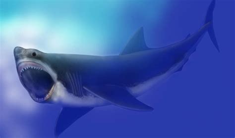 Megalodon sharks were longer than bus, heavy as 10 elephants - study - The Jerusalem Post