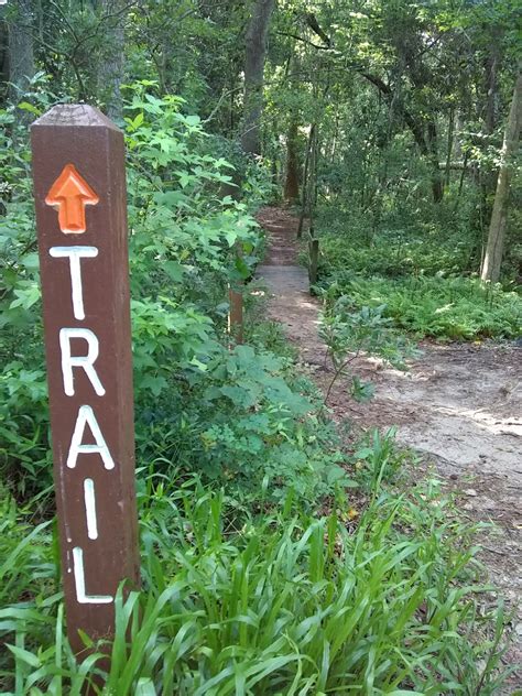 A Complete Guide to Trail Running in Myrtle Beach (and Surrounding ...