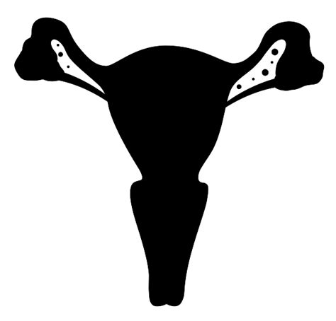 Fallopian Tube Cancer: Types, Diagnosis, Treating | Women's Cancer Care