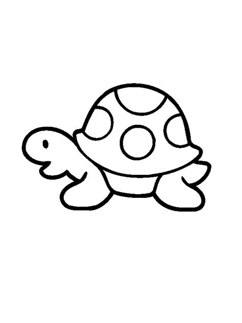 Turtle Line Art - Cliparts.co