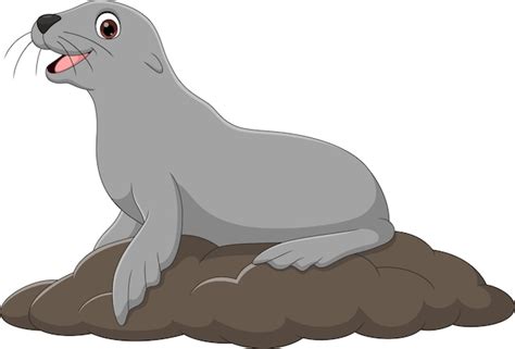 Premium Vector | Cartoon funny seal on white background