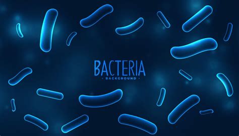 Lactobacillus Gasseri Benefits - Dosage & Side Effects – Vinatura Supplements