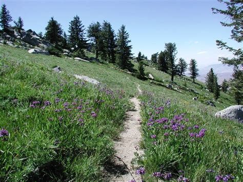 Boise National Forest - Hiking:Day Hiking | Camping and hiking, Hiking ...