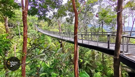 penang hill canopy walk - Luke Bell