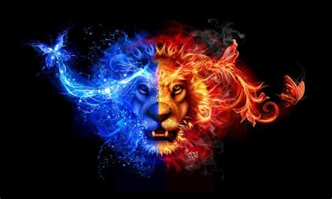 Blue Fire Lion - Bing Images Martial Arts Photography, Fire Lion, Abstract Lion, Lions Live ...