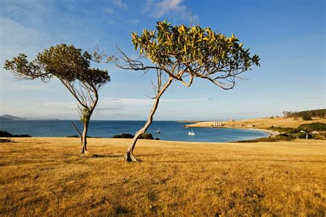 Maria Island Cruises - Lap of Tasmania