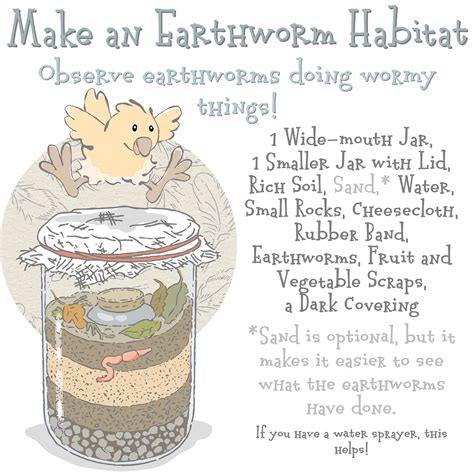 Make an Earthworm Habitat and Observe Wormy Stuff | by J.R. Spiers | The DIY Diaries | Medium