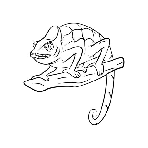 Chameleon Illustration on white background 20122203 Vector Art at Vecteezy