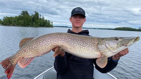 DNR certifies new records for northern pike, muskie | kare11.com