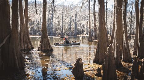 Kayaking Caddo Lake - Texas - Kayaking Place