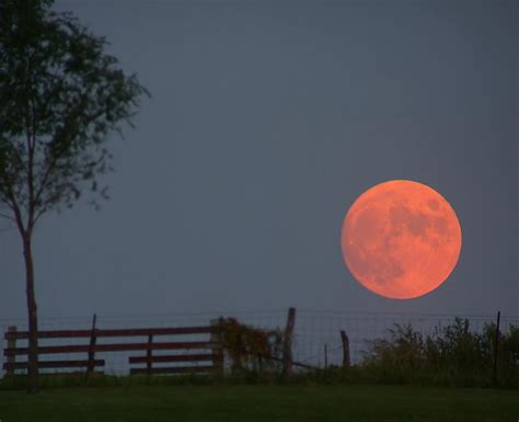 Harvest Moon Wallpaper - WallpaperSafari