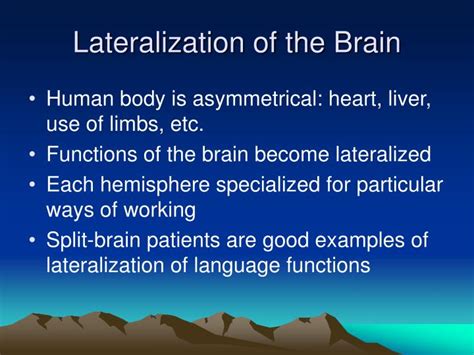 PPT - Language and Brain PowerPoint Presentation - ID:1280024