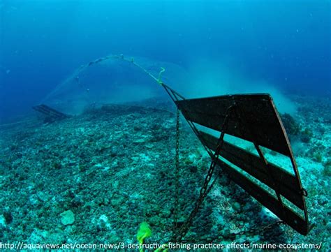 Bottom Trawling - Trawl Gears and Long-Lining