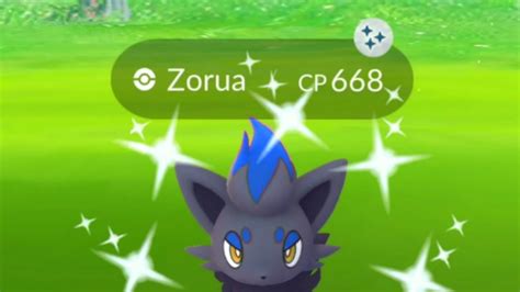 Is Shiny Zorua In Pokemon Go 2024 - Nicki Amabelle