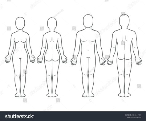 Male Female Body Front Back View Stock Vector (Royalty Free) 1018644184 | Shutterstock