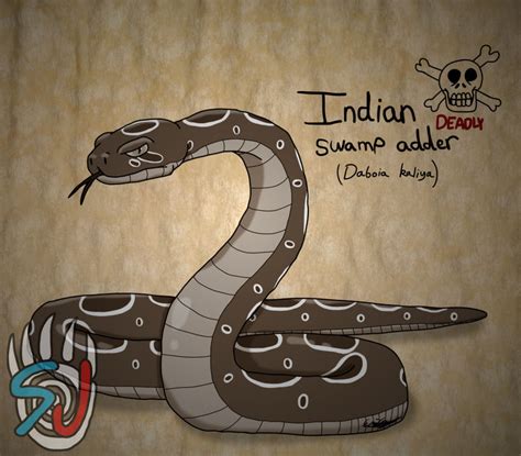 Indian Swamp Adder by SankaJones on DeviantArt